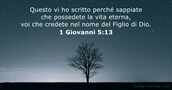 1 Giovanni 5:13