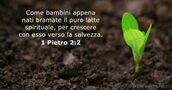 1 Pietro 2:2