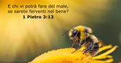 1 Pietro 3:13