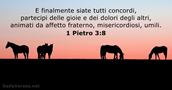 1 Pietro 3:8