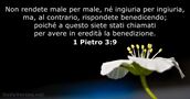 1 Pietro 3:9