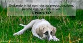 1 Pietro 5:7