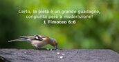 1 Timoteo 6:6