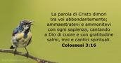 Colossesi 3:16