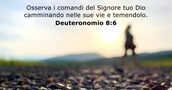 Deuteronomio 8:6