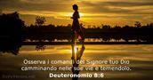 Deuteronomio 8:6