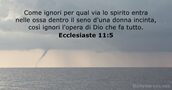 Ecclesiaste 11:5