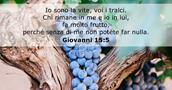 Giovanni 15:5