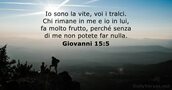 Giovanni 15:5