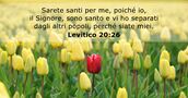Levitico 20:26