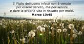 Marco 10:45