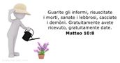 Matteo 10:8