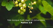 Matteo 3:8