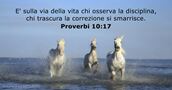 Proverbi 10:17