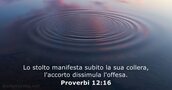 Proverbi 12:16