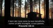 Proverbi 18:11