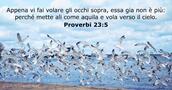 Proverbi 23:5