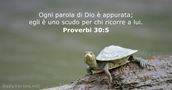 Proverbi 30:5