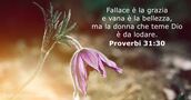 Proverbi 31:30