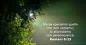Romani 8:25