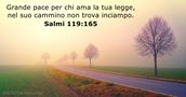 Salmo 119:165