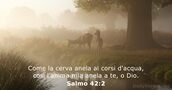 Salmo 42:2
