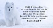 Salmo 51:3-4