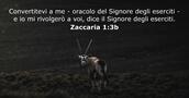 Zaccaria 1:3b