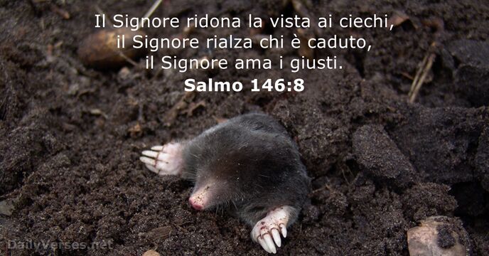 Salmo 146:8