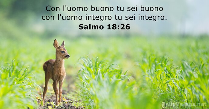 Con l'uomo buono tu sei buono con l'uomo integro tu sei integro. Salmo 18:26