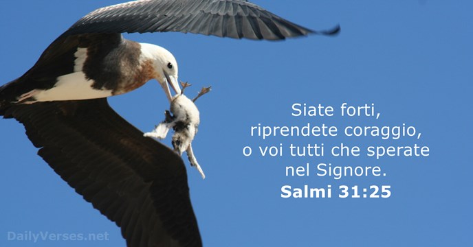 Salmo 31:25