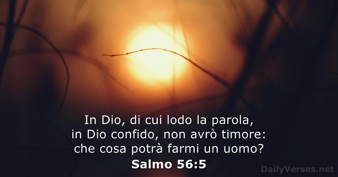 Salmo 56:5