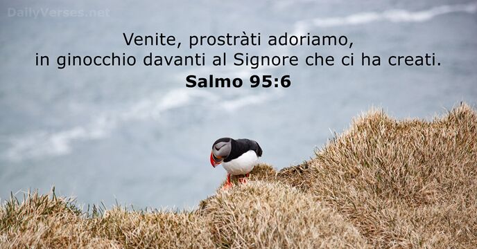 Salmo 95:6