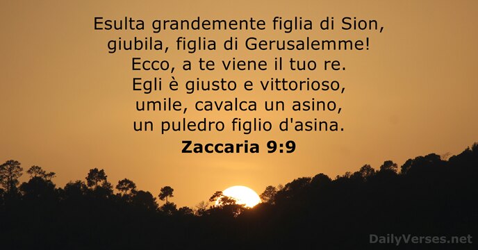 Zaccaria 9:9