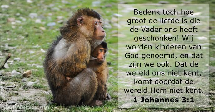 1-johannes 3:1