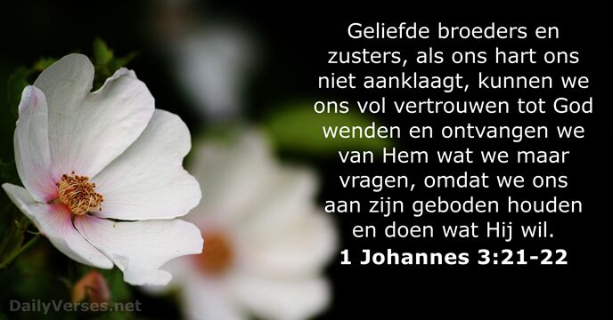 1-johannes 3:21-22