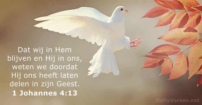 1 Johannes 4:13