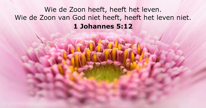 1-johannes 5:12
