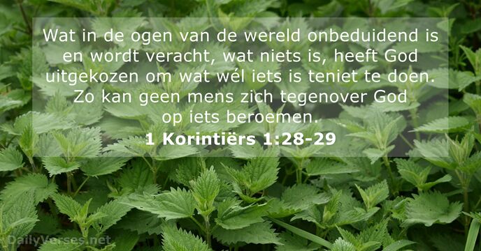 1-korintiers 1:28-29