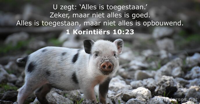 1 Korintiërs 10:23
