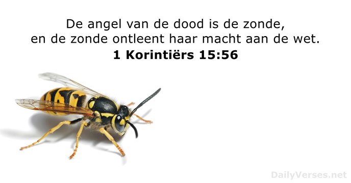 1-korintiers 15:56
