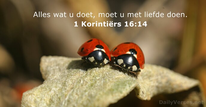 1-korintiers 16:14
