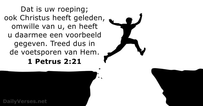 1-petrus 2:21