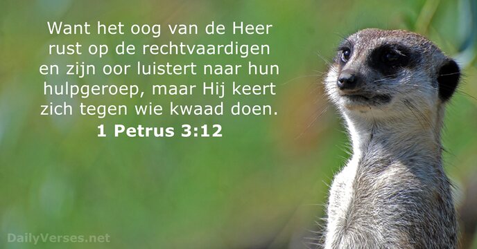 1-petrus 3:12