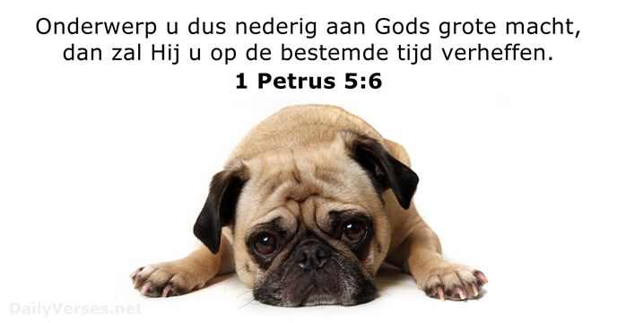 1-petrus 5:6