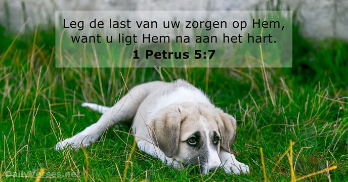 1-petrus 5:7