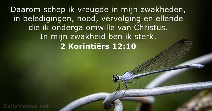 2 Korintiërs 12:10