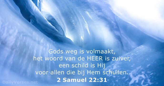 2-samuel 22:31