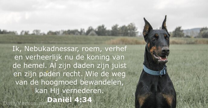 daniel 4:34