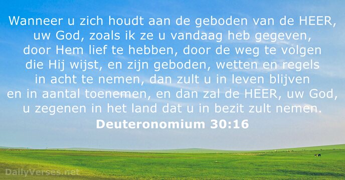 deuteronomium 30:16
